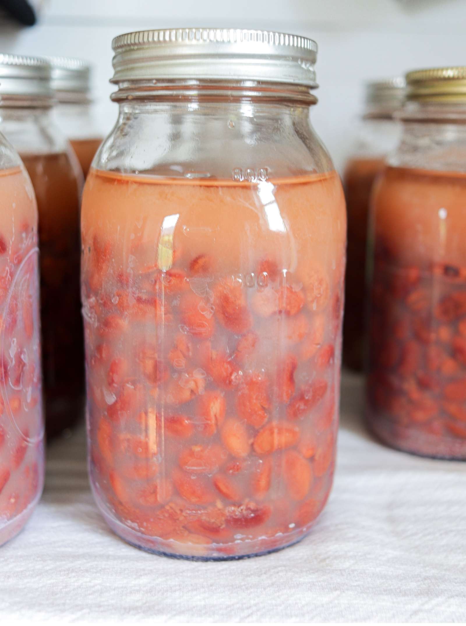 Pressure Canning PINTO BEANS (No-Soak Method)